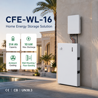 Batterie solaire LFP haute sécurité à cellules séparées CFE-WL-16 5KWH 10KWH 16KWH 51.2V 314Ah CAN, protection multiple, pour système de stockage d'énergie domestique (ESS) CE IP20
