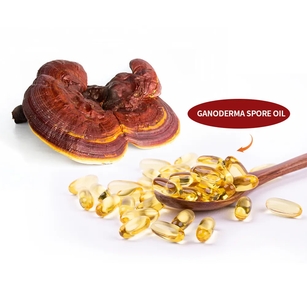 Ganoderma lucidum Bào tử nấm dầu Viên nang Reishi Nấm bào tử dầu Softgel chăm sóc sức khỏe bổ sung