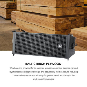 DBK Altavoces de matriz de línea doble de 8 pulgadas Escenario profesional Fiesta de bodas Matriz de línea pasiva activa Altavoces de frecuencia completa - Product Image 6