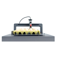 Nouvelle imprimante jet d'encre TIJ en vente directe d'usine avec encre à séchage rapide pour l'impression automatique de logo/date/code QR sur les œufs (garantie 1 an)