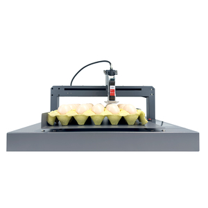 Impresora de Huevos de Tinta, Venta Directa de Fábrica, Impresión Automática de Logotipos/Fechas/Códigos QR en Huevos - Product Image 3