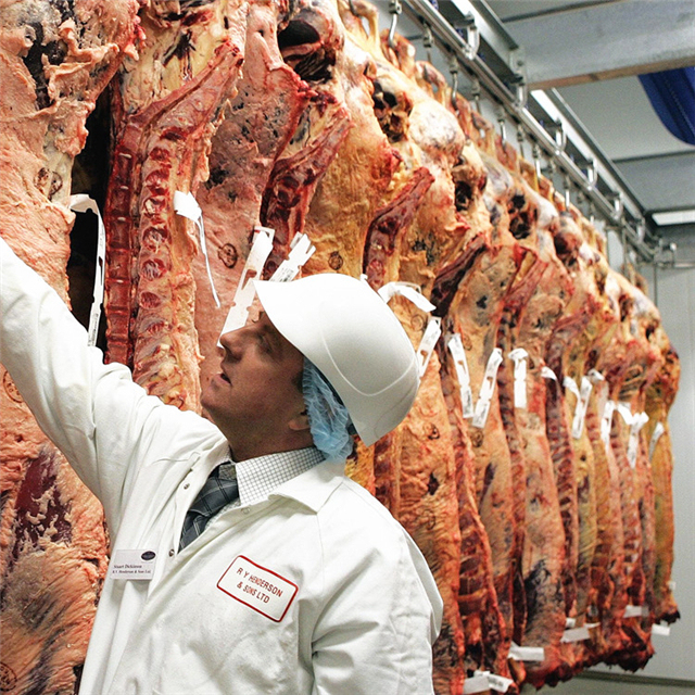 Kosher Meat Processing Beef Slaughter House