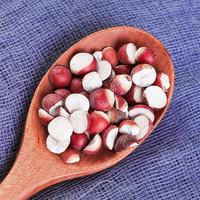 Graines de Qian Shi Gorgon Fruit, plante médicinale chinoise, Euryales Semen, fruits secs ronds, aliments santé de haute qualité pour la régime alimentaire, épices, santé rénale