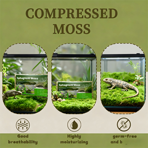 Factory Hot <strong>Sale</strong> Cheap Price Dried <strong>Sphagnum</strong> <strong>Moss</strong> <strong>for</strong> Potted Flowers and Succulent Cultivation - Product Image 5