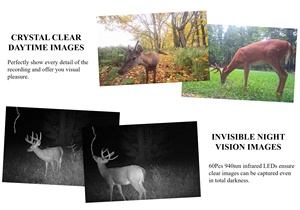 WILLFINE 5.8 Cs Wildlife 4g Cellular Photo Trap 24mp App Cloud Hunting Trail <span class=keywords><strong>Camera</strong></span> - Product Image 5