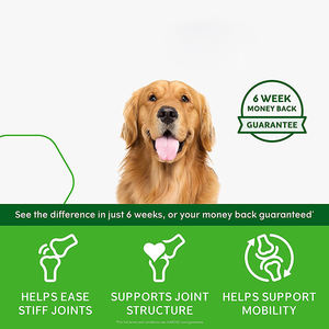 OEM/ODM Supplément articulaire pour chiens Supplément articulaire haut de gamme pour animaux de compagnie Soft Chews Joint Care For Adult Dogs - Product Image 2