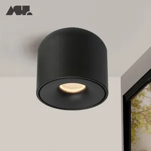 Aisilan kapalı İskandinav silindir kısılabilir Spot ışık koridor oturma odası tavan koçanı yüzey montaj LED Downlight