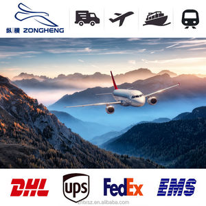 Дешевые морские перевозки DDP Логистика из Китая в США, Великобритания, Канада, Индия, UPS DHL, экспресс-доставка, агент - Product Image 3