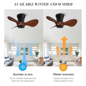 Ventilateur de plafond électrique de 28 pouces, couleur blanc noir, boîtier en ABS, <span class=keywords><strong>mini</strong></span> taille, moteur DC en cuivre pur - Product Image 4