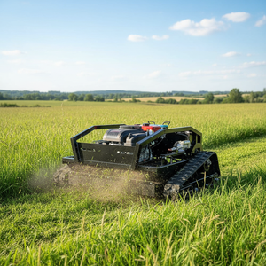 Free Shipping Professional Grade Gasoline Engine Remote Control Crawler <strong>Lawn</strong> <strong>Mower</strong> Zero Turn <strong>Lawn</strong> <strong>Mower</strong> For Grass Cutting - Product Image 1