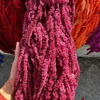 Flores Secas de Amaranto Colgantes, Tallos de Mijo de Arroz Coloridos y Duraderos para Decoración de Bodas y Hogar