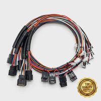 Arnés de Cableado Personalizado, Conector Macho-Hembra Multipin, Ensamblaje de Cables con Malla Protectora Corrugada, Cable Trenzado Multicolor