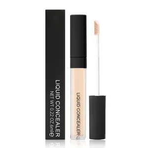 Concealer Pro riasan wajah tahan air terlaris Foundation Vegan cakupan penuh di bawah mata Concealer cair Label pribadi