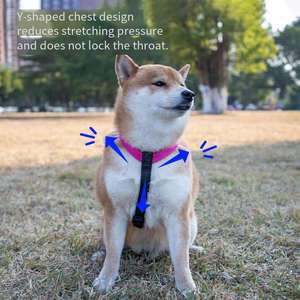Sınır ötesi yeni dalış malzemesi i-şekilli Pet göğüs kemeri yelek orta büyük yakacak köpek Golden Retriever köpek Pet taşıyıcılar - Product Image 4