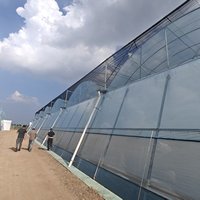 Serre commerciale multi-chapelles en film plastique PO, serre multi-chapelles en film avec ventilation