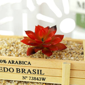 ขายส่งต้นไม้ประดิษฐ์พลาสติกขนาดเล็กราคาถูก - Product Image 3