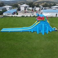 Toboggans aquatiques gonflables d'extérieur, toboggan aquatique gonflable commercial pour adultes, toboggan aquatique gonflable Dragon