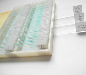 高品質100枚入り動物組織標本スライド　大学用組織学顕微鏡プレパラート - Product Image 6
