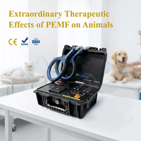 Appareil de massage corporel PEMF portable, formation gratuite, améliore l'élasticité musculaire, réduit la douleur, appareil PEMF pour chiens et chats.