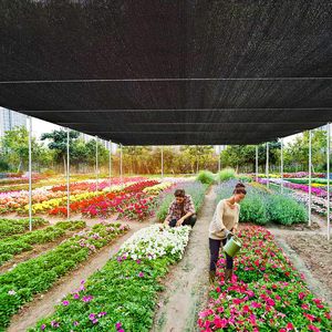 Malla de sombreo agrícola 35%-90% negra, varios colores, tela de <span class=keywords><strong>sombra</strong></span> resistente <span class=keywords><strong>para</strong></span> jardín, plástico PE/HDPE, plegable - Product Image 2