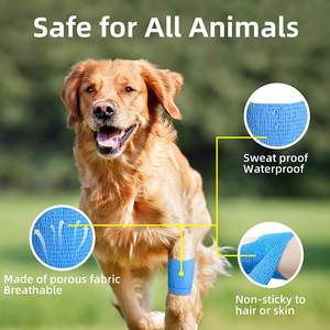 <span class=keywords><strong>Bande</strong></span> thérapeutique élastique en tissu non tissé, bandage cohésif, <span class=keywords><strong>bande</strong></span> de sport, <span class=keywords><strong>bande</strong></span> de sport <span class=keywords><strong>noire</strong></span> - Product Image 6