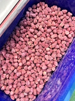 Fabrieksgroothandel 100% natuurlijke gevriesdroogde hele aardbeien FD knapperig fruit zonder toevoegingen bulk levering