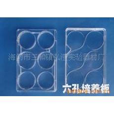 Placa de Cultivo Hongbolai de 6 Compartimentos, 35 mm, Plástico, Microplaca de Laboratorio para Cultivo Celular - Product Image 2