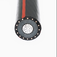 Câble de distribution souterrain monobrin en aluminium YJLY 12/20kV 1*240mm² à âme neutre concentrique, isolé TR XLPE
