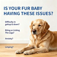 Gouttes liquides à base de chanvre pour animaux de compagnie, oméga pour le soutien des articulations et des hanches, apaisant, anti-stress, soin de la peau et du pelage pour chiens et chats