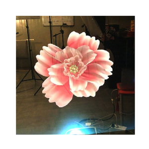 Phim Chiếu Trong Suốt Cửa Sổ Kính Chiếu Trước Và Sau Cho Quảng Cáo - Product Image 6