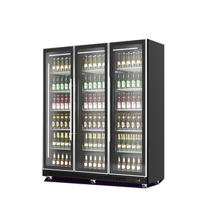 Congélateur vertical à porte battante / Congélateurs commerciaux à porte vitrée / Réfrigérateur vertical de classe C pour boissons - Product Image 6