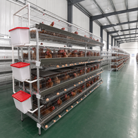 Cage à poules de type H galvanisée pour fermes avicoles avec collecte automatique des œufs, alimentation, abreuvement et ventilation