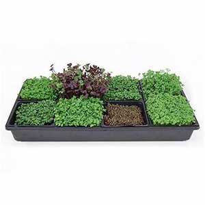 Plateau en plastique <span class=keywords><strong>pour</strong></span> plantation <span class=keywords><strong>de</strong></span> semis et germination, prix compétitif, 128 - Product Image 1