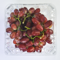 Contenant en plastique PET transparent pour fruits frais, type clamshell, 3 lb, pour myrtilles et raisins, emballage alimentaire à emporter