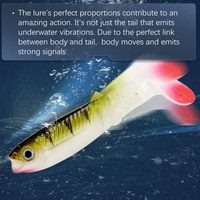 Leurre souple LureStorm 80mm 100mm 125mm à queue de pagaie en plastique, appâts artificiels pour poissons d'eau salée, eau douce/rivière