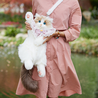 Dropshipping Cadeaux Simulation Ragdoll Chat Poupée Peluche Petite Poupée Poupée Fille Chat Simulé Sac à dos