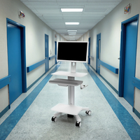 Chariot d'hôpital mobile personnalisé de style industriel de l'usine de fabrication chinoise OEM/ODM pour divers besoins en métal