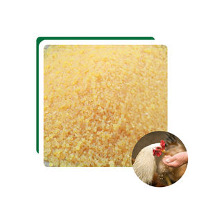 Retinolo Acetato Vitamina A 500000 UI/g Additivi Alimentari Idrosolubili per Nutrizione Animale VA500 - Product Image 3