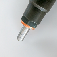Inyector de Combustible Diésel Original A2C59517051  BK2Q-9K546-AG, Inyectores Genuinos con Boquilla de Combustible A2C59517051  BK2Q-9K546-AG
