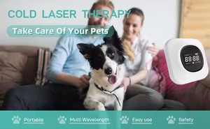 Die neueste 650nm 808nm Laser-Kalt laser therapie für den menschlichen Gebrauch bei Horse Dog Cat Arthritis Pain Relief Device - Product Image 5