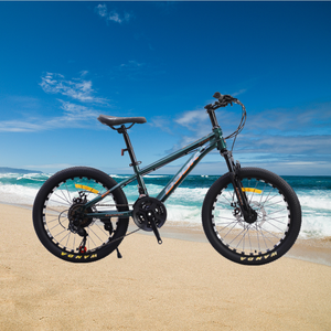 <span class=keywords><strong>Bicicleta</strong></span> de aleación de aluminio con 21 engranajes de velocidad <span class=keywords><strong>Bicicleta</strong></span> de <span class=keywords><strong>20</strong></span> pulgadas Llantas de <span class=keywords><strong>bicicleta</strong></span> de <span class=keywords><strong>20</strong></span> pulgadas - Product Image 6