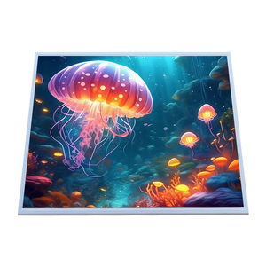 AUO G190EG02 V1 300cd/m² โมดูลจอแสดงผล TFT LCD 19.0" มุมมองภาพเต็มรูปแบบจอแสดงผลควบคุมอุตสาหกรรมสำหรับการแพทย์และอุปกรณ์ - Product Image 3