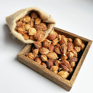 Épice simple herbesChina Amomum Fructus Amomi Cardamome parfumée pour cuisinier - Product Image 4