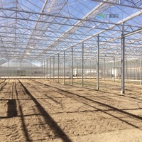Serre agricole semi-fermée en aluminium néerlandais avec toiture en verre pour tomates, fabriquée en Chine