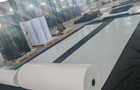 Nouvelle Vente Chaude : Bande transporteuse à fumier blanche en PE/PP, garantie 5 ans, pour fermes avicoles, entrepôts – Direct Fabricant