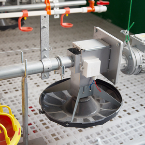 Thiết Bị Cho Ăn Gà Thịt Tự Động Khay Cho Ăn Gia Cầm Khay Thức Ăn Cho Gà Thịt Và Máy Làm Giống - Product Image 2