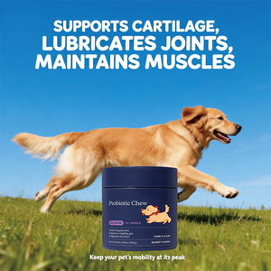 อาหารเสริมสำหรับสุนัข OEM พรีไบโอติกส์ โปรไบโอติกส์ ชนิดเคี้ยว ช่วยเสริมภูมิคุ้มกัน บำรุงสุขภาพลำไส้ เอนไซม์ย่อยอาหาร บรรเทาอาการแพ้ อาการคัน ขนมขบเคี้ยวสำหรับสัตว์เลี้ยง - Product Image 3