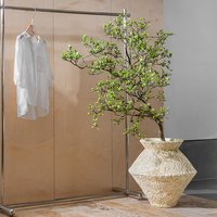 Pots de fleurs et support de présentation en béton texturé beige, écologiques, durables, modernes, pour l'intérieur et l'extérieur, pour la maison et le jardin