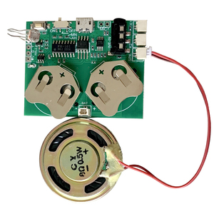 <strong>USB</strong> Download Halloween Props DIY <strong>Sound</strong> <strong>Recording</strong> Playback <strong>Module</strong> For Toys - Product Image 1