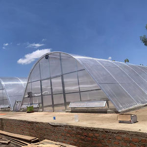 Serre tunnel agricole multi-chapelle en PVC grande taille à économie d'énergie, séchoir manuel/électrique à enroulement - Product Image 4